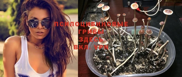 прущая мука Михайлов