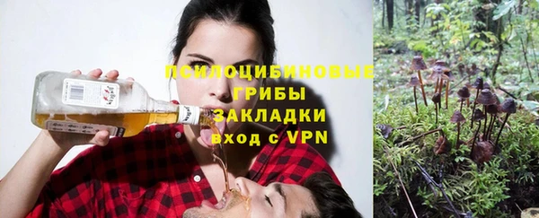PSILOCYBIN Михайловск