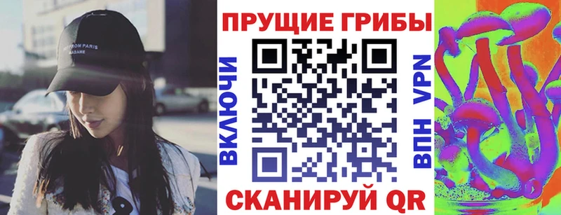 Галлюциногенные грибы ЛСД купить цена Новокубанск