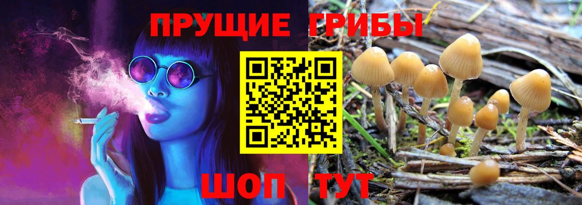 магазин    Галлюциногенные грибы мицелий  Новокубанск  Вход с VPN  Псилоцибиновые грибы мухоморы 