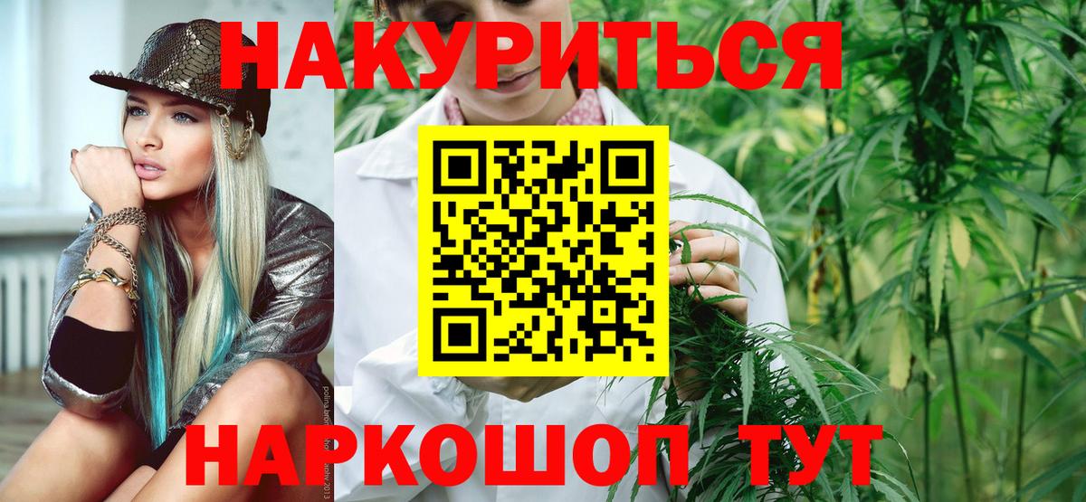Конопля индика Новокубанск